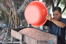 Lạc rớt giá, “tức quá” sáng chế ra máy ép dầu, dân hoan hô