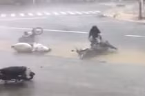 Gió bão thổi bay người, xe la liệt ở thành phố Nha Trang