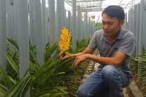Bỏ việc về trồng lan, bỏ túi 25 triệu đồng/tháng