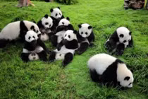 Đã tìm ra công việc có thể khiến bạn hạnh phúc mỗi ngày 