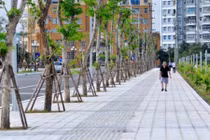 Lát đá vỉa hè Hà Nội: Đề xuất dùng đồ giả
