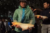 Kỳ tích nuôi cá “đẻ” ra tiền Tỷ