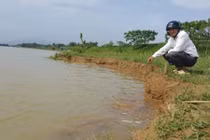 Dân cử người canh…doanh nghiệp khai thác cát vì sợ vỡ đê