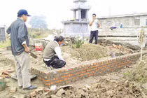 Những chuyện ly kỳ mùa cải táng