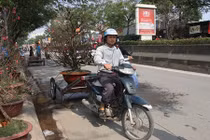 Dân chở đào quất thuê giảm thu nhập vì tắc đường