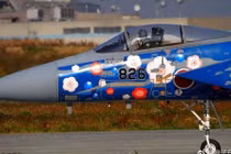 Lòe loẹt dàn tiêm kích F-15 của Nhật Bản