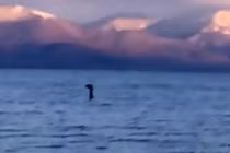 Nhìn thấy quái vật hồ Loch Ness đi nghỉ lễ Giáng sinh?