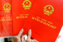 Bí thư quận chỉ đạo giải quyết đơn tố cáo Giám đốc VP Đăng ký Đất đai Long Biên