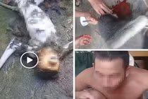 Cái kết cho nhóm người giết voọc ăn óc sống, phát video lên facebook