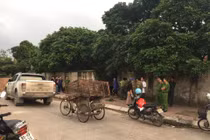 Chủ đàn chó tấn công bé trai tử vong bị xử phạt thế nào?