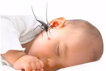 Bài thuốc dân gian giúp giảm biến chứng sốt xuất huyết
