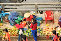 Thăm chợ đĩa độc đáo có 1 không 2 ở TP HCM