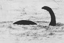 Thực hư thông tin quái vật hồ Loch Ness vẫn còn sống
