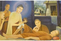 Bệnh khổ