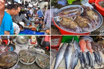 Độc đáo chợ hải sản “bao ngon” chỉ họp vào buổi chiều