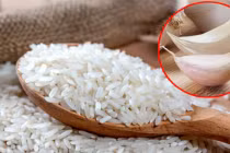 Vùi vài nhánh tỏi vào thùng gạo: Nhận lợi ích bất ngờ 