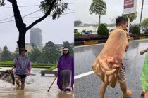 Vĩnh Phúc: Phố biến thành sông, dân đổ ra đường bắt 'lộc trời'