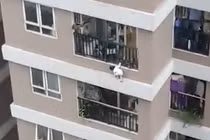 Video: Bé 2 tuổi rơi từ tầng 12A xuống đất và cái kết bất ngờ
