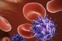 Brazil thử nghiệm vaccine HIV trên khỉ