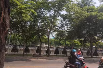 Bàng hoàng giây phút cô giáo trẻ nghi bị đồng nghiệp sát hại