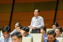 ĐBQH: Tham nhũng như sâu, phải gọi là “diệt” chứ không thể chống