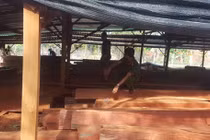 Ngỡ ngàng lý do Phượng "râu" trữ gỗ quý trong nhà kho riêng