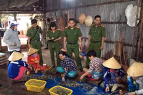 Bạc Liêu: Phạt 1,7 tỷ các cơ sở bơm tạp chất Agar vào tôm 