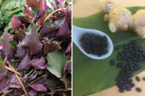 Lương y chỉ ra 3 loại nước bổ dưỡng cho F0 điều trị tại nhà