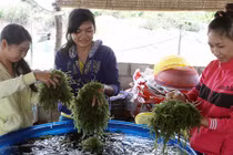 Thăm thủ phủ rong nho giúp nông dân Ninh Thuận đổi đời
