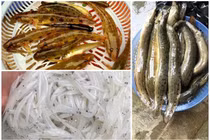 3 đặc sản sông Đà giá cao vẫn hút khách