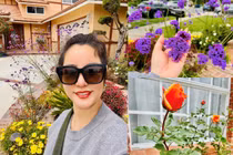 Ngây ngất vườn hoa rực rỡ trong biệt thự của Thuý Nga ở Mỹ