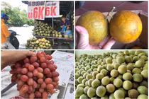 Sự thật các loại hoa quả “rẻ như cho” bán đầy chợ