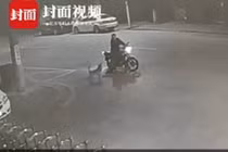 Video: Dừng xe 'cãi nhau' với chó suốt nửa tiếng