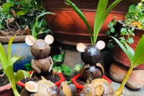 Bonsai chơi Tết 2020 “siêu chát”, dân Việt vẫn phút mốt xuống tiền sở hữu 