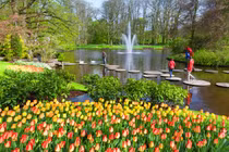 Vườn hoa tulip lớn nhất thế giới "hốt bạc" ở Hà Lan