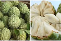 Phân biệt na dai - na bở chỉ cần nhìn đúng 1 điểm, đừng để người bán qua mặt