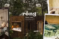 Đà Lạt mùa hồng chín đỏ, loạt homestay thơ mộng đậm chất vintage 