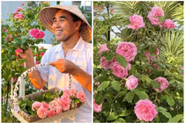 Vườn hồng nhiều người “mơ cả đời” của vợ chồng MC Quyền Linh 