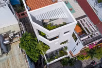 Ngỡ ngàng nhà phố như ốc đảo xanh mướt giữa lòng Sài Gòn
