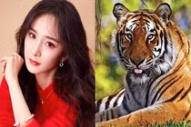 3 con giáp sang chảnh có tiếng, dễ gì làm thân với họ