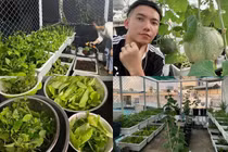 Khu vườn rau củ sạch “ăn không hết” của ca sĩ Phạm Trưởng 