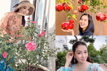 Choáng ngợp vườn rau xanh, cây ăn trái trĩu quả của Hoa hậu Việt 