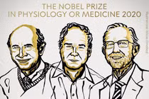 Nobel Y học 2020 vinh danh nghiên cứu về virus viêm gan C