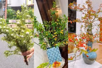 3 loại cành độc lạ giá “bèo” gây sốt thị trường đến “cháy hàng“