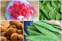 4 loại rau quen thuộc nhưng chỉ nhà giàu mới dám mua