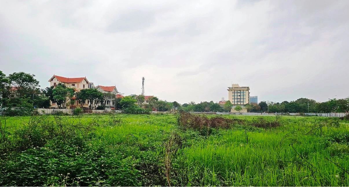 Cận cảnh “đất vàng” dự án Khách sạn, chung cư, Hải Dương đang đấu giá 