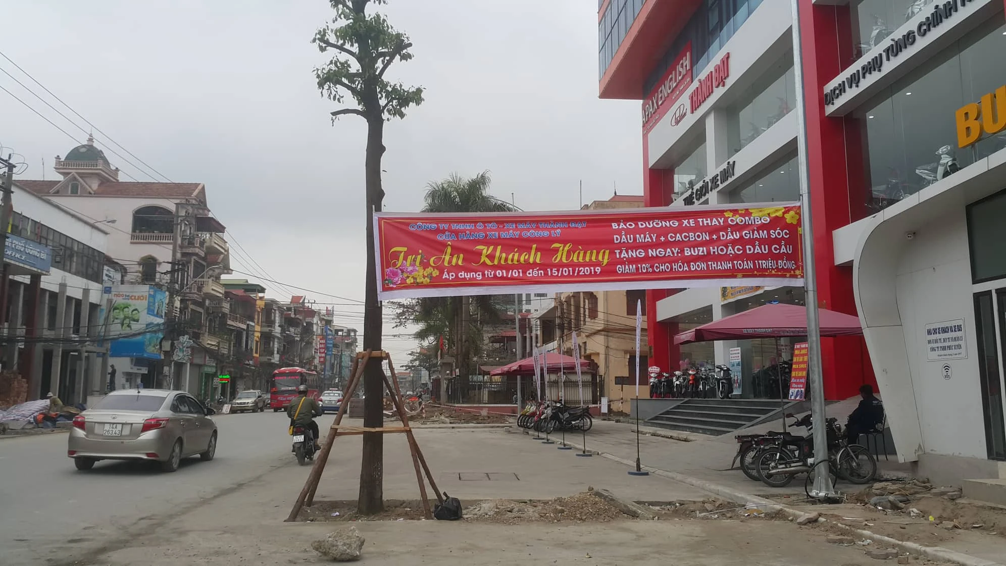 Kỳ lạ hàng cây xanh trồng “dưới lòng đường” ở Uông Bí