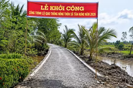 Ảnh chỉ mang tính minh họa