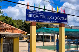 Ảnh minh họa