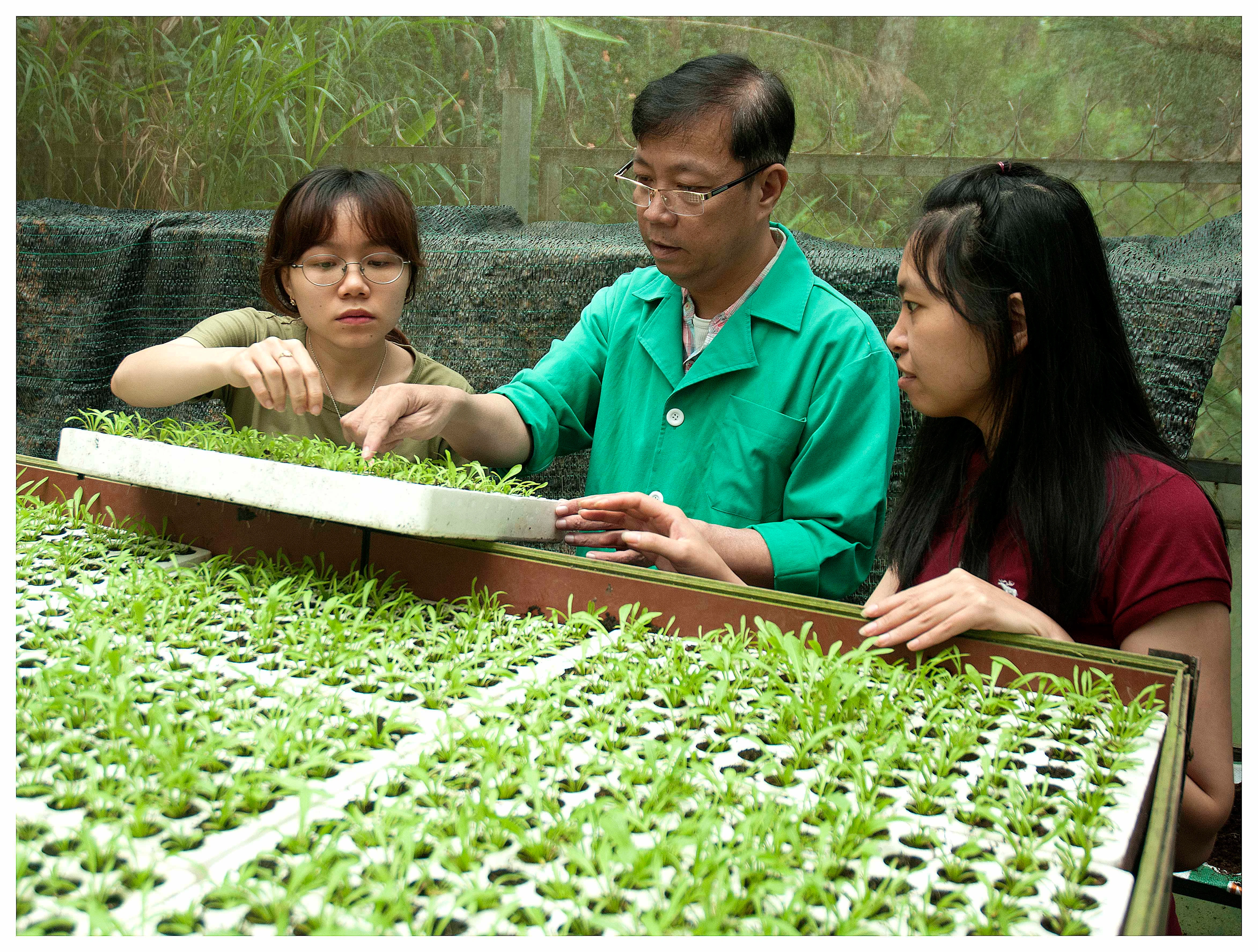 GS.TS Dương Tấn Nhựt người nhân giống thành công nhiều giống hoa Đà Lạt